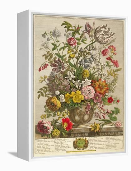 May, from 'twelve Months of Flowers' by Robert Furber (C.1674-1756) Engraved by Henry Fletcher-Pieter Casteels-Framed Premier Image Canvas