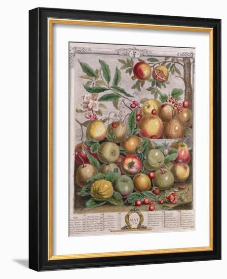 May, from 'Twelve Months of Fruits'-Pieter Casteels-Framed Giclee Print