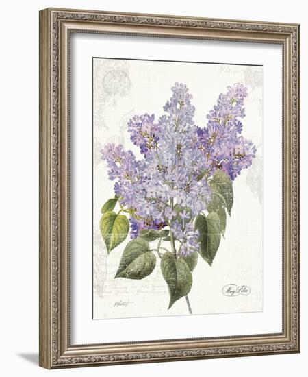 May Lilac on White-Katie Pertiet-Framed Art Print