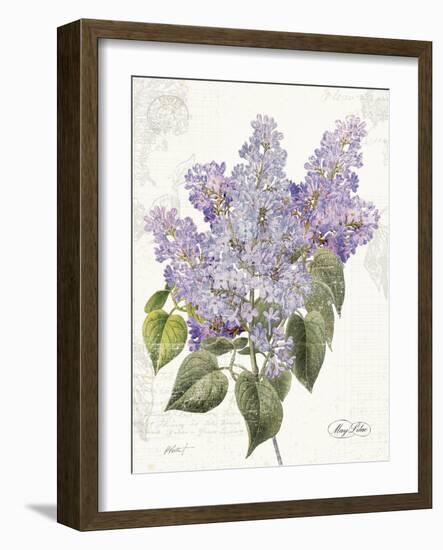 May Lilac on White-Katie Pertiet-Framed Art Print