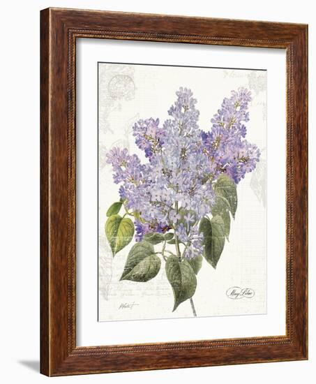 May Lilac on White-Katie Pertiet-Framed Art Print