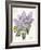 May Lilac on White-Katie Pertiet-Framed Art Print