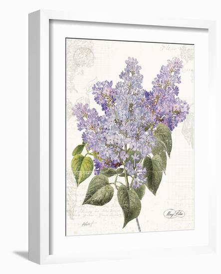 May Lilac on White-Katie Pertiet-Framed Art Print