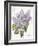 May Lilac on White-Katie Pertiet-Framed Art Print