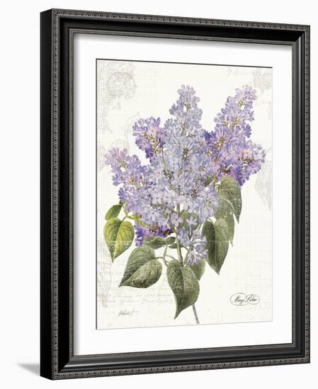 May Lilac on White-Katie Pertiet-Framed Art Print