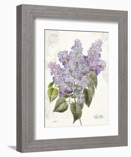 May Lilac on White-Katie Pertiet-Framed Premium Giclee Print