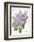 May Lilac on White-Katie Pertiet-Framed Premium Giclee Print