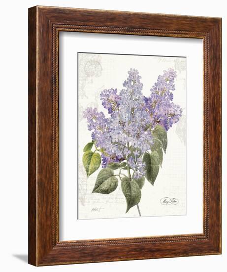 May Lilac on White-Katie Pertiet-Framed Premium Giclee Print