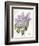 May Lilac on White-Katie Pertiet-Framed Premium Giclee Print