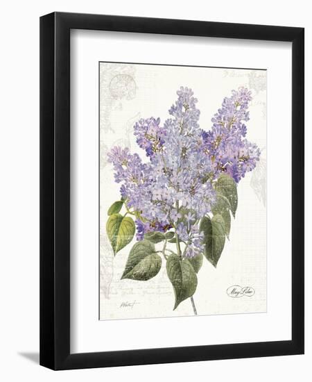 May Lilac on White-Katie Pertiet-Framed Premium Giclee Print