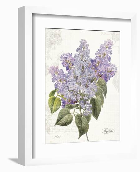 May Lilac on White-Katie Pertiet-Framed Premium Giclee Print