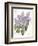 May Lilac on White-Katie Pertiet-Framed Premium Giclee Print