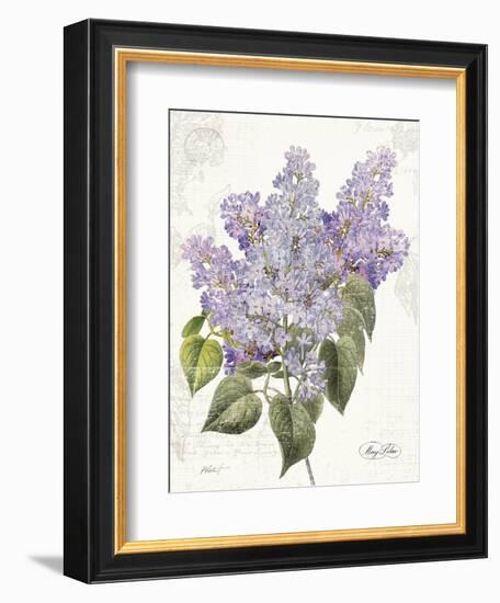 May Lilac on White-Katie Pertiet-Framed Premium Giclee Print