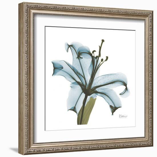 May Lily-Albert Koetsier-Framed Art Print