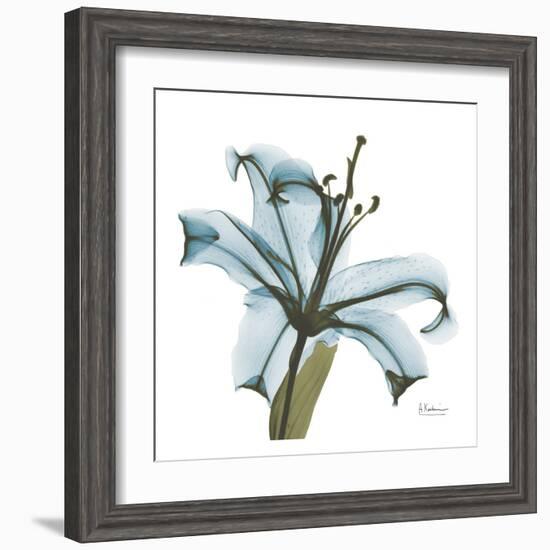 May Lily-Albert Koetsier-Framed Art Print