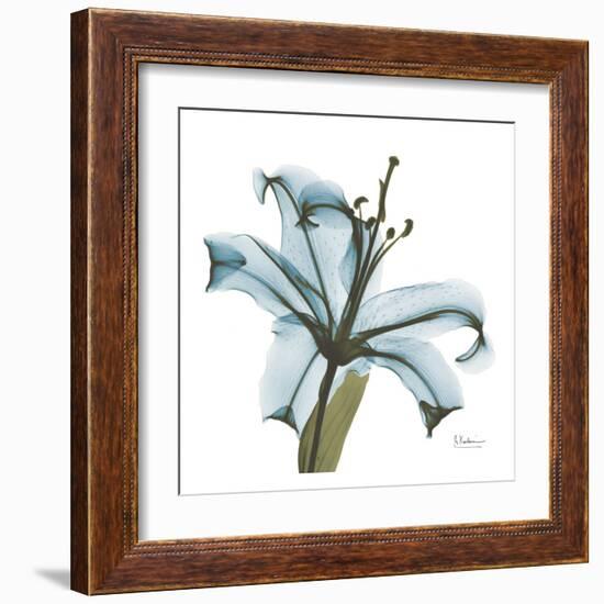 May Lily-Albert Koetsier-Framed Art Print