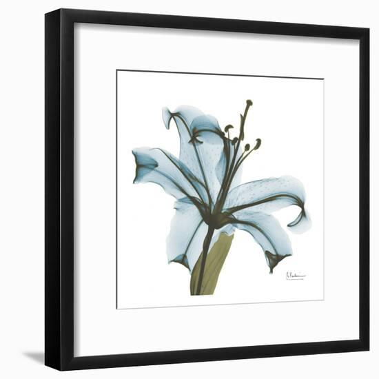 May Lily-Albert Koetsier-Framed Art Print