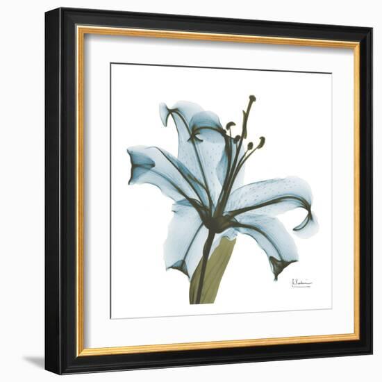 May Lily-Albert Koetsier-Framed Art Print