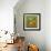 May Orange Label - Redlands, CA-Lantern Press-Framed Art Print displayed on a wall