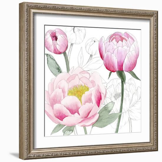 May Peonies II-Grace Popp-Framed Art Print