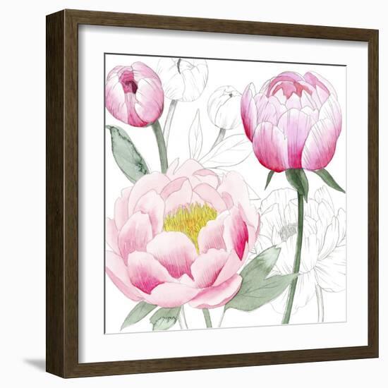 May Peonies II-Grace Popp-Framed Art Print