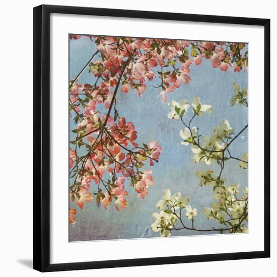 May Second-Donna Geissler-Framed Giclee Print