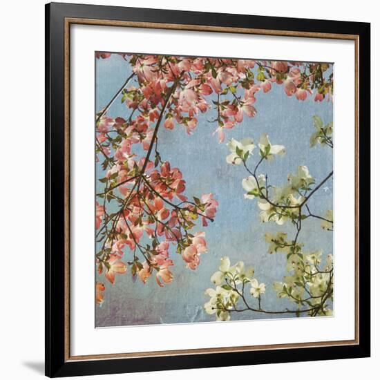 May Second-Donna Geissler-Framed Giclee Print