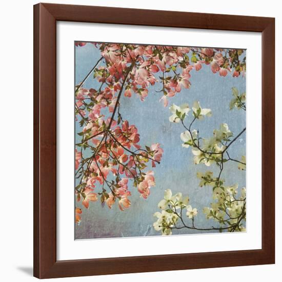 May Second-Donna Geissler-Framed Giclee Print