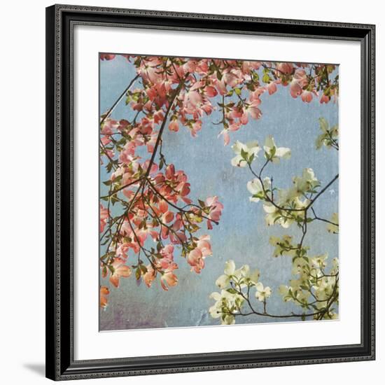 May Second-Donna Geissler-Framed Giclee Print