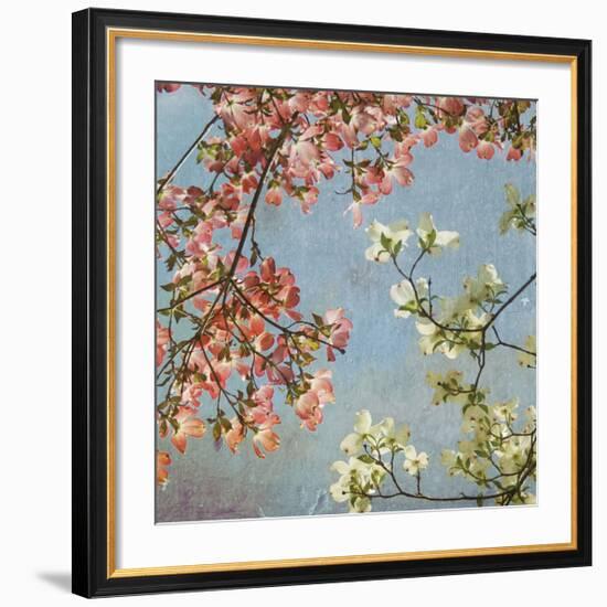 May Second-Donna Geissler-Framed Giclee Print