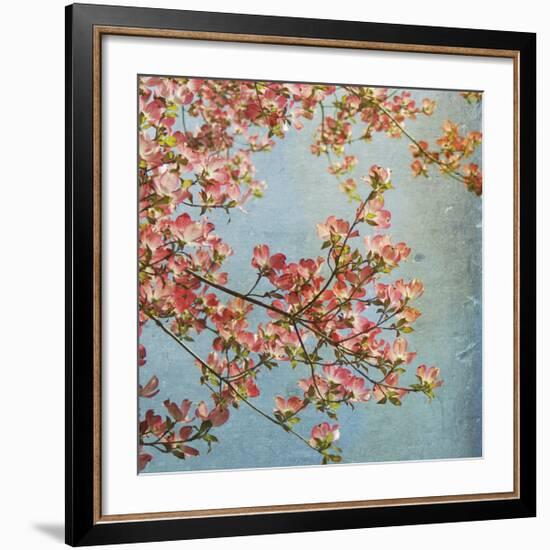 May Third-Donna Geissler-Framed Giclee Print