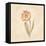 May Wonder Tulip on White Crop-Cheri Blum-Framed Stretched Canvas