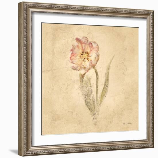 May Wonder Tulip-Cheri Blum-Framed Art Print