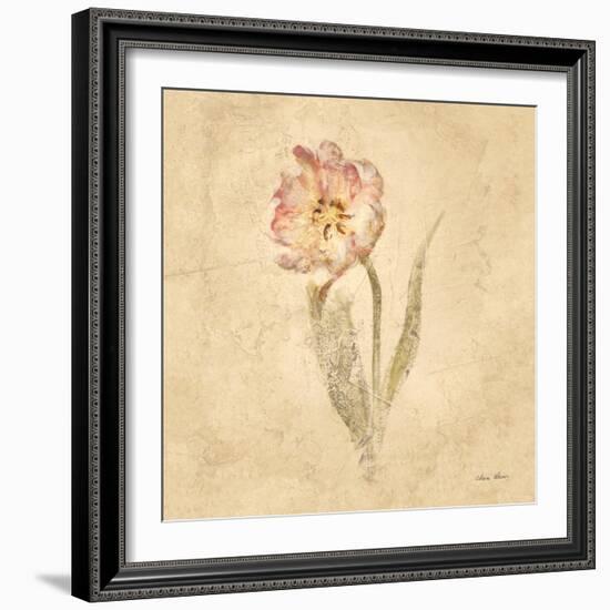 May Wonder Tulip-Cheri Blum-Framed Art Print