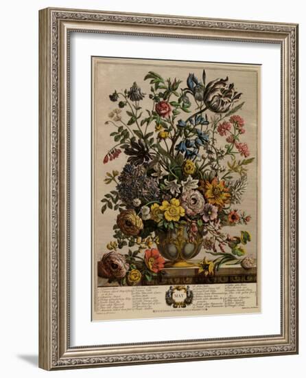 May-Robert Furber-Framed Art Print