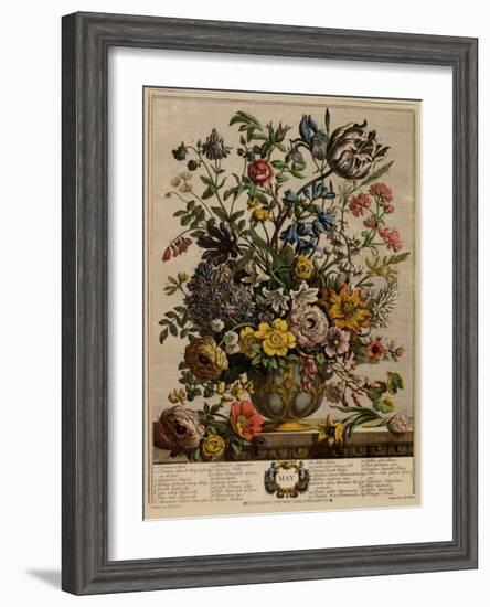 May-Robert Furber-Framed Art Print