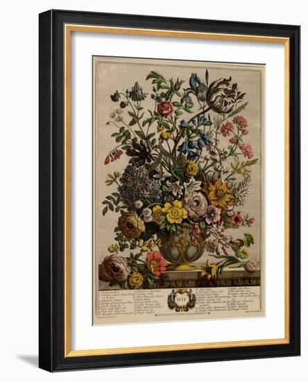 May-Robert Furber-Framed Art Print