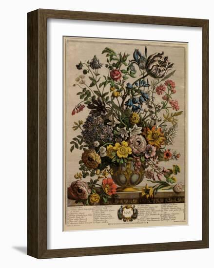 May-Robert Furber-Framed Art Print