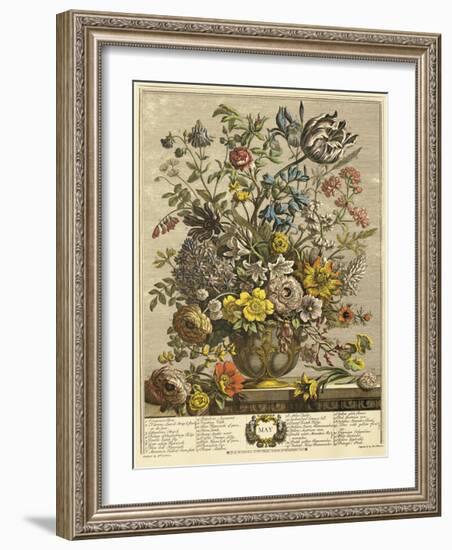 May-Robert Furber-Framed Giclee Print