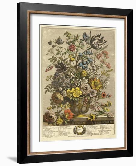 May-Robert Furber-Framed Giclee Print