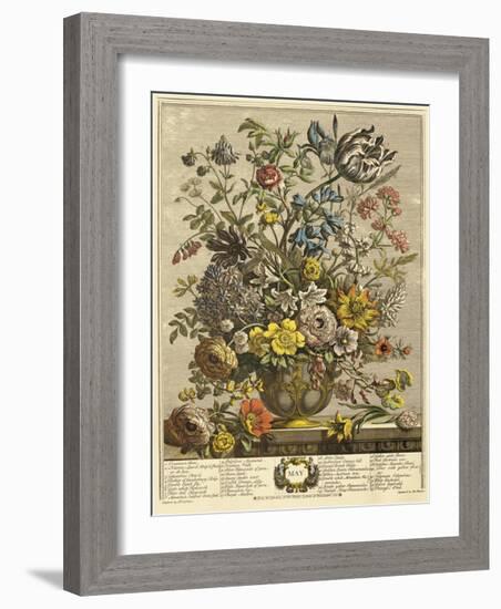 May-Robert Furber-Framed Giclee Print