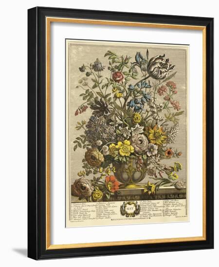 May-Robert Furber-Framed Giclee Print