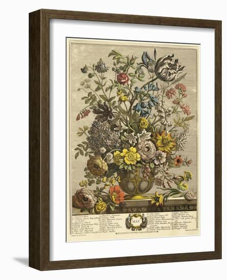 May-Robert Furber-Framed Giclee Print