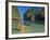 Maya Bay, Kho Phi Phi Leh, Krabi Province, Thailand, Southeast Asia, Asia-Ben Pipe-Framed Photographic Print