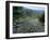 Maya, Copan, Honduras-Kenneth Garrett-Framed Photographic Print