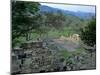 Maya, Copan, Honduras-Kenneth Garrett-Mounted Photographic Print