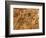 Maya Murals, Maya, San Bartolo, Guatemala-Kenneth Garrett-Framed Photographic Print