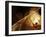 Maya Prophecy-frenta-Framed Art Print