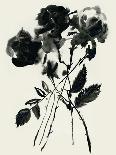 Black Flora-Maya Woods-Art Print