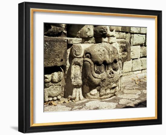 Mayan Carved Stone Skull on Top of East Court, Dating from 8th Century, Copan, Honduras-Christopher Rennie-Framed Photographic Print